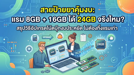 ปก อัพแรม