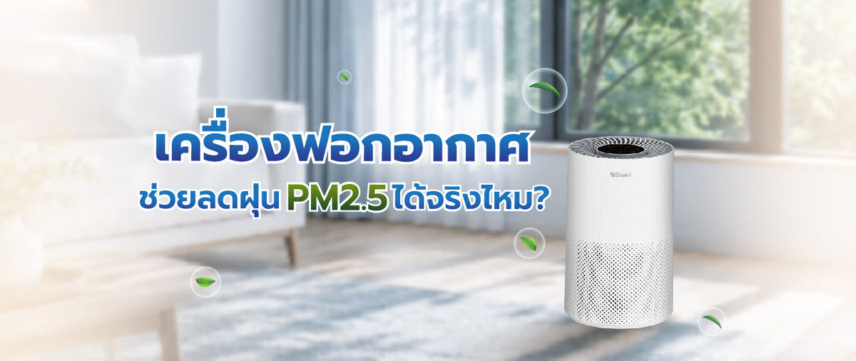 การเลือกเครื่องฟอกอากาศ: เครื่องฟอกช่วยลด PM2.5 ได้จริงไหม 076