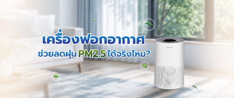 การเลือกเครื่องฟอกอากาศ: เครื่องฟอกช่วยลด PM2.5 ได้จริงไหม 076