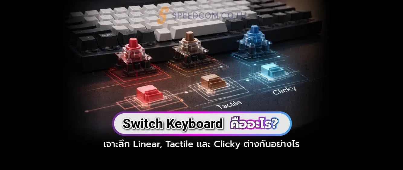Switch Keyboard ความแตกต่างระหว่าง Linear, Tactile และ Clicky แบบเจาะลึก - SpeedCom