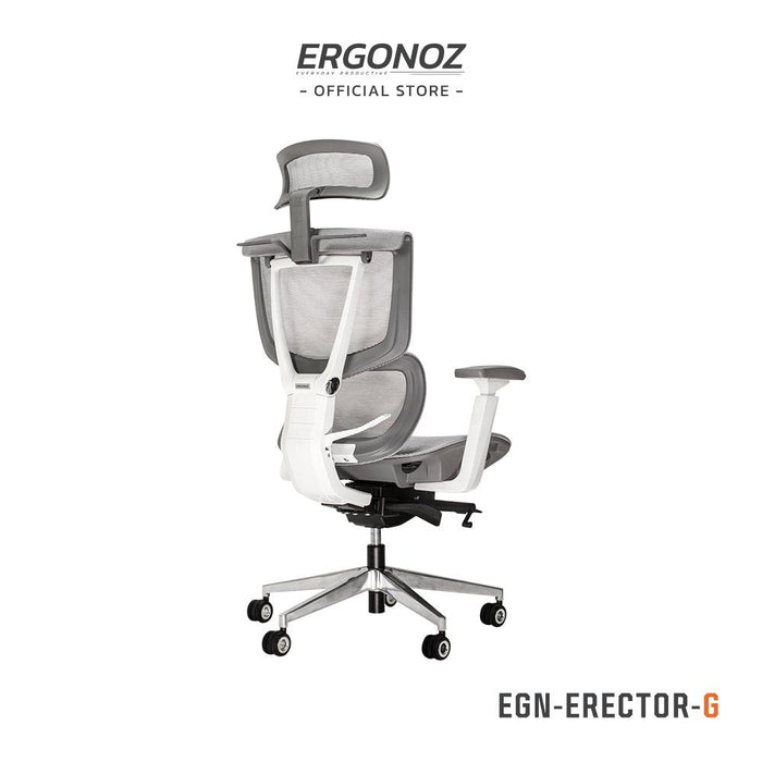 เก้าอี้เพื่อสุขภาพ ERGONOZ Erector Active Lumbar ErgonomicSpeedCom