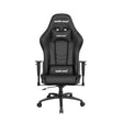 เก้าอี้เกมมิ่ง Anda Seat Axe E-Series Size M Premium - SpeedCom