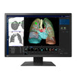 จอมอนิเตอร์ EIZO MX243W RADIFORCE 24.1" IPS 61Hz สีดำ