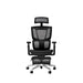 เก้าอี้เพื่อสุขภาพ ERGONOZ Erector Active Lumbar Ergonomic - SpeedCom