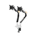 ขาจับจอ ERGONOZ TRAZER - D Dual Monitor Arm Twin Trazer สีขาว (Matte White) - SpeedCom